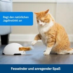 PetSafe Automatisches Katzenspielzeug Fox Den -PetSafe Verkaufe 038232be25f9015ce160251d628e0af5cabbc69f 1351524 de DE dbeb3a30744bbc866a12a3ecd4f619007abf0a14xn8Dpf