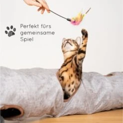 KaraLuna Katzentunnel 120 Cm -PetSafe Verkaufe 03a85a8001f50b0ec3e7e585b3945723300eb60c 1407492 de DE 7a483a7d108fb5bcdf2c40a46cf23395c8ca6f9fWAbAhX