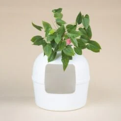 RHR Quality Katzentoilette Flower XXL -PetSafe Verkaufe 045c34da52ea42a8ca93faa0ffc4384eb81e7dd2 1641853 de DE 9141ae2b51dfaf3b5b7cf3a1ab485e45a4e63ee0Obqwe6