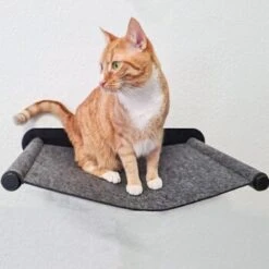 Canadian Cat Company Filz-Hängematte Für Die Wand -PetSafe Verkaufe 05bff4a9f82ca17aac31ad0d578a843a03e969a6 1360996 de DE 2f7dba7fff7fd30e8ac28d61faf3072ba982a2de23tQBO