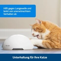 PetSafe Automatisches Katzenspielzeug Fox Den -PetSafe Verkaufe 08408a2d9006c3b10c605053b082403622980ada 1351524 de DE 8502feb5da21e0ab937dc8c82ecaeac4aebee886lllVcE