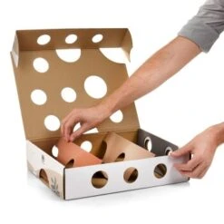 Canadian Cat Company Katzenspielzeug MagicBox 14 Canadian Cat Company Katzenspielzeug MagicBox -PetSafe Verkaufe 142300badb79cca7ad6d02f165f6adb72822700a 1361887 de DE 0a0d8e236e46b38b19bc65d2f7a8b14b65d84da00feNa3