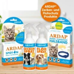 Ardap Spot-On Für Katzen S -PetSafe Verkaufe 178d15ac9da3c3d9fa67232babf72025c6818bc9 1150895 de DE 986a55c9a154810fd460d41d158e3ced050ed285C5pfll
