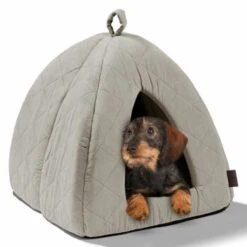 MORE Höhle Diamond 24 MORE Höhle Diamond -PetSafe Verkaufe 1901edb64570eb8cb38c0e72458280ff138dcb40 856e9f8ef094dc77c4e2ce9e6d85768bffa721c6