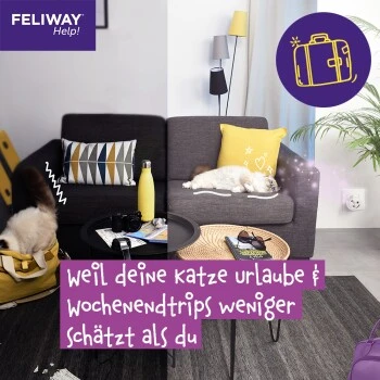 Feliway Help! 7 Tage Start-Set Zur Vorbeugung Von Stress 10 Feliway Help! 7 Tage Start-Set Zur Vorbeugung Von Stress – Bild 10