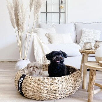 District 70 COCOON Natural M 3 District 70 COCOON Natural M – Bild 3