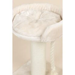 RHR Quality Kratzbaum Chartreux -PetSafe Verkaufe 202580110d3228043953133d8f131f3f6ee55333 1657336 de DE 3d4592d54d2d597d3cacf32c3a85b49157160828VSKMVM