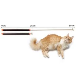 Schlitzohr Stabile Katzenangel Arnold 10 Schlitzohr Stabile Katzenangel Arnold -PetSafe Verkaufe 2b03aaa8061d454c3b132f3d29075b579f022315 1484671 de DE 4db6a969e0582cf4b987acff93cb66c6c6149da6OAB1hx