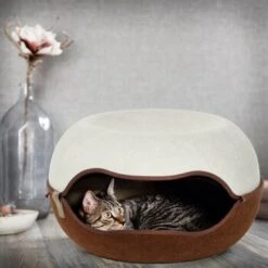 Canadian Cat Company Filz Katzennest 2.0 Weiß 15 Canadian Cat Company Filz Katzennest 2.0 Weiß -PetSafe Verkaufe 2d709df44822ed1c554e77257ea4f2826b7f6ee6 1412670 de DE f4bc2f42c404e1ae32cb86346c8e995f0178b889j3OAow