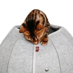 Canadian Cat Company Katzenhöhle In Kugelform S -PetSafe Verkaufe 2ecb868df2d3b2cf90a9092caebd3c19caa20008 1347679 de DE 9620a1f8944edc55aec2b992d490644e015c022abD41s1