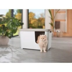 MORE FOR Katzentoilette XXL Titan -PetSafe Verkaufe 331a65ecbdbda6a54304894f23caf93293414f9a 41a7dcb3b92b8da7531785b268f381c1b25bbf04