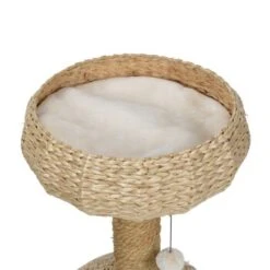 AniOne Kratzbaum Anzo -PetSafe Verkaufe 351c483b7633d98114272dd6abd14775154252bf 22d484b588e021fa65a862261d472ada2c49384c