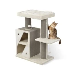 MORE Kratzbaum Edward -PetSafe Verkaufe 3dbf59e3cce477fabe3045964c3b31542fd34f93 a301cd96a03fc3e3e31f0cea97769d1447bd4627