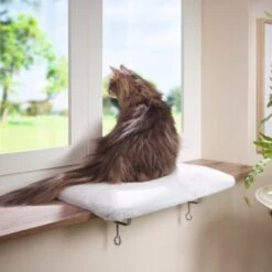 AniOne Fensterliegeplatz 6 AniOne Fensterliegeplatz -PetSafe Verkaufe 3ed1f86bcd38eea7f6bb469869d0ceabbf14e73e 08d7fb7b3ea8513f40155b969787349e3e9059aa