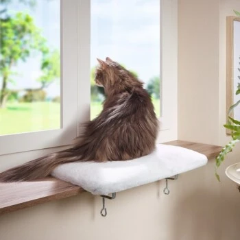 AniOne Fensterliegeplatz 3 AniOne Fensterliegeplatz – Bild 3