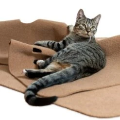 Canadian Cat Company Spielteppich Für Katzen Braun -PetSafe Verkaufe 446d45749f5e58cb5a7dbc00eb3558dbe40784fe 1394213 de DE 80770b9625226d955903498b97e7018485822aeeDB3L2u