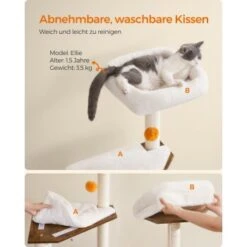 FEANDREA Kratzbaum Mit Croomer Braun -PetSafe Verkaufe 47d0b3925cfaeb666d35f7ee3984913541c8c087 1651635 de DE 88f22557a14da5cca647f95ef4949dafa54896c7B6UNIS