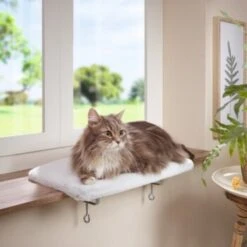 AniOne Fensterliegeplatz 7 AniOne Fensterliegeplatz -PetSafe Verkaufe 48b4c875f72788d493de559eab0e5688d72d5fb7 b558c550dc7f6e4c2f13fbb0d43c30b225535e90