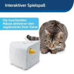 PetSafe Automatisches Katzenspielzeug Cheese 12 PetSafe Automatisches Katzenspielzeug Cheese -PetSafe Verkaufe 4bf213762b84458348ad4dde222bccd0d8e6f0a8 1418723 de DE 66b781419c3a9a05dbaecf1b142c67f8ea6f21fbRLCfdd