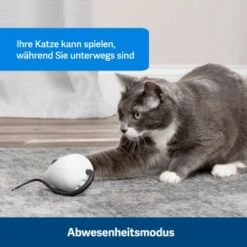 PetSafe Automatisches Katzenspielzeug RoloRat -PetSafe Verkaufe 4e48313abe110e77b48862456b3054c8cbc622dd 1351522 de DE cc35ab35cec54291341f643ff079f60e72f56895BvuHXl