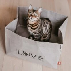 Canadian Cat Company Katzenbett Winnipeg 14 Canadian Cat Company Katzenbett Winnipeg -PetSafe Verkaufe 4f163c23f3c00759be25633fb22100eb50b10eed 1360995 de DE e27163ea0c21fd571c9e22268b69a4d1b68affe5UBt2yy