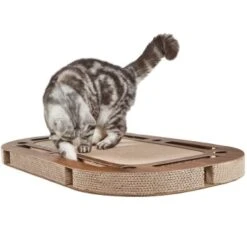 Canadian Cat Company Katzenspielplatz PlayPlate Braun -PetSafe Verkaufe 503b050ded03a798fae5907e5e6ab62ea486daec 1345686 de DE ba93f7f713eb46bccf87a135aca2b7d10f0f1847E0hi8m