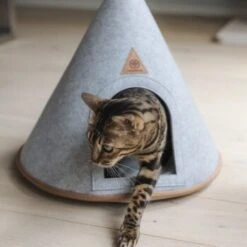 Canadian Cat Company Katzenzelt Cone 12 Canadian Cat Company Katzenzelt Cone -PetSafe Verkaufe 5109d27ef761061b6b743871ab0498da3478f504 1394210 de DE f112ffaf078c6f8bf03764511a0d90aab2c21021HdDAgd