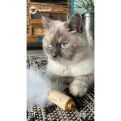 Kater Kasimir Deluxe Set Mit 9 Beliebten Katzenspielzeugen Aus Naturmaterial Und Handgemachtem CATMOM Armband -PetSafe Verkaufe 53dfde9e2fe82dcabccac0c3ca73172551111df6 1408141 de DE 911e17a5e45692f3789ac8bc9aee946048898d74cBDD0E