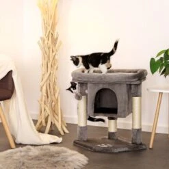 Lionto Kratzbaum 60 Cm Dunkelgrau -PetSafe Verkaufe 54d2a2b2f0f85b4c59d70d90b3af4b4a58719f22 1657014 de DE 61b72444bd03e0597d0ec1256f587f38f03d3f6dXYdqkl