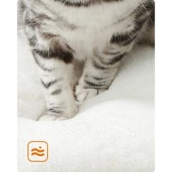 FEANDREA Kratzbaum 86cm Vintagebraun Dunkelgrau 12 FEANDREA Kratzbaum 86cm Vintagebraun Dunkelgrau -PetSafe Verkaufe 59c8f7dbe684955dce05fd55642a4efbe0124a91 1483574 de DE cb5b6b9bf568cfcabae2338f3d74a869baf9bd1cxK0b3y