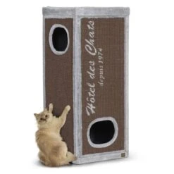 Europet Bernina Europet Kratztonne Rockefeller 50 Cm, 50 Cm, 90 Cm -PetSafe Verkaufe 5beca9afecc0b236f2fda82bf7d73b1fd0801ab1 b02f63b3e1c920c93bb6a10b2df020ae4e8491fa