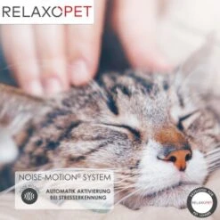 RelaxoPet PRO Entspannungs-Trainer KATZE 11 RelaxoPet PRO Entspannungs-Trainer KATZE -PetSafe Verkaufe 5e807080a677a4a90a950f7dacb700870a866642 1315706 de DE e6dc4268241d05a0f2883b3084c91b24fed0467fmgVHw7