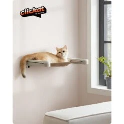 FEANDREA Clickat Katzenmöbel 3er Set, Für Die Wand -PetSafe Verkaufe 60f69f4a642f0d59e84f4714b442d728b55f724b 1681459 de DE a39910e1400039cebe0247b4991dedcb1a62d9ddWMEogu