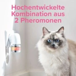 Beaphar CatComfort Excellence Nachfüll-Flakon Für Verdampfer -PetSafe Verkaufe 62f9ebd7607b7a060b32fb11dae75f2d3caa19ec 1416647 1 1