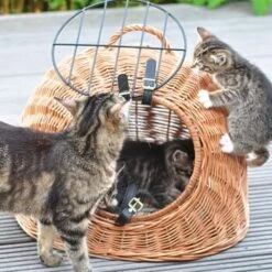 Aumüller Rattanhöhle Gesottene Weide 6 Aumüller Rattanhöhle Gesottene Weide -PetSafe Verkaufe 644da56b8da52f185185b101fb3460690748ee17 ed38553d0e52453b951e62f08b371eb8a64cf3ed