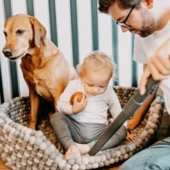 THOMAS AQUA+ Pet & Family Parquet Pro -PetSafe Verkaufe 6a06a607313dbd894623286e7a98c7773a1034a3 1406735 de DE 19e0df3761ba1c9d0c13778d17fc55d12b702950RpbbLZ