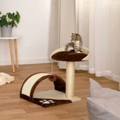 Lionto Kratzbaum Höhe 43 Cm Braun/ Beige -PetSafe Verkaufe 731e3c33fcb667d66ff727bb63814b5ce888c519 1651773 de DE 0ba297da15fdf41ea5a8788c803a11c8eef1c103muQtWx