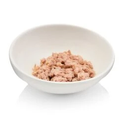 Canadian Cat Company Futterbar Cat Diner -PetSafe Verkaufe 7374ea0a9e3fe9347681d73e38cfddf88778c4d9 1345694 de DE 736a30d8934edf90c8b01e1b34a29dff5e81dab2o6VK2t