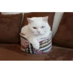 Canadian Cat Company Katzenschiff MAJA 9 Canadian Cat Company Katzenschiff MAJA -PetSafe Verkaufe 766deb875332e5f5e0863d1a2d85001bb4ef9b90 1412668 de DE bd0dc038d80f4f0d2f7a8d881a21a125e897f0d3Dfo1wn