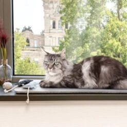 Canadian Cat Company Filzmatte Für Fensterbank Hellgrau S 9 Canadian Cat Company Filzmatte Für Fensterbank Hellgrau S -PetSafe Verkaufe 7885f06a61233bc404e6a3aa7f8cd882fde8d497 1498575 de DE 613cf8659fcca6edb1e226239a406f420c510b04Tro7m3