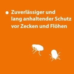 Ardap Spot-On Für Katzen S -PetSafe Verkaufe 78ef3007d4b9c3eb8d62bd9c80f14e6d1dd5144b 1150895 de DE 123c08947d68d259b6ba6ec3ce1852e52370e4d7UNfXiR