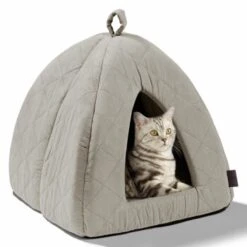 MORE Höhle Diamond 23 MORE Höhle Diamond -PetSafe Verkaufe 7939acaef98cdb9195a642e4ff359691740fc0e9 84dbe0d60d2ca1e5170055a2164cc0d47aaedf72