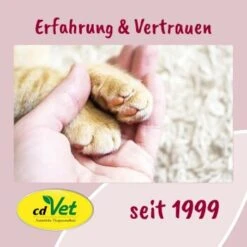 FeliTATZ FellGlanz -PetSafe Verkaufe 7b983d72d2823b0db9ac615f4b9eda9a9cc31838 1666313 de DE bfdb4b813f4d094cdfef4c88f0fa4e20008c32c8J2LDce
