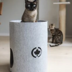 Canadian Cat Company Filzbett Owen-Tower 10 Canadian Cat Company Filzbett Owen-Tower -PetSafe Verkaufe 7de15b7ab3d0a3da50a54b91f1a6b746b12be302 1394209 de DE 768a45a9be27cfd0fb27e1bf0942b4e67e500c7ee16ity