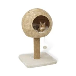 AniOne Kratzbaum Taro -PetSafe Verkaufe 8015d7b4c0183292da7990dff25b7ff1c97f7ca6 4661a3fe35a0d785da64c78b80181fd4eec21218