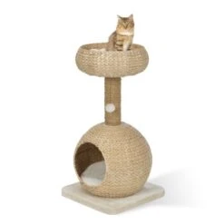 AniOne Kratzbaum Anzo -PetSafe Verkaufe 8251ae4516bf903fd0d3f9c45aa1bbabf8946a79 e7ecb07cf2644d3862a8042d79dc2f0a59c03802