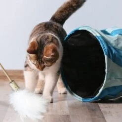 Kater Kasimir Premium Paket Mit 7 Beliebten Katzenspielzeugen Aus Naturmaterial 8 Kater Kasimir Premium Paket Mit 7 Beliebten Katzenspielzeugen Aus Naturmaterial -PetSafe Verkaufe 84f221d79ef76f1b4f2f0037d329c11c6fce3a33 1408152 de DE 294269527f07b1898ca7562c986e956043828d3cA8xBpO