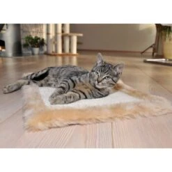 Silvio Design Möbelschoner 50 Cm, 35 Cm, 2 Cm -PetSafe Verkaufe 8a73e6a08fdc9580c25fdec07cbc7957a9497914 67b116e5d0fbd6480fe2fcc0e5fc0dea58615d8d