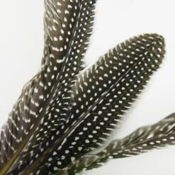 Schlitzohr Katzenangel Federanhänger 5x 16 Schlitzohr Katzenangel Federanhänger 5x -PetSafe Verkaufe 93b8e0c984d323f24d455bf8e74e2dbacef5703e 1484675 de DE 7b80f213f44ebcad765dbdebc25bf2d2f0177dbd64kHU2