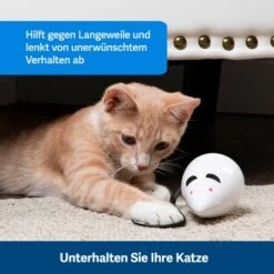 PetSafe Automatisches Katzenspielzeug RoloRat -PetSafe Verkaufe 97df3eec34472f4ac76f2a0bbe4e75fdbbe02b64 1351522 de DE 83c2d308e962c4b6c64101ee39311b3a61647f71n2yR1C